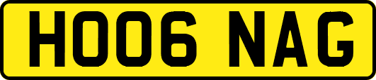 HO06NAG