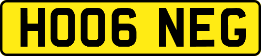HO06NEG