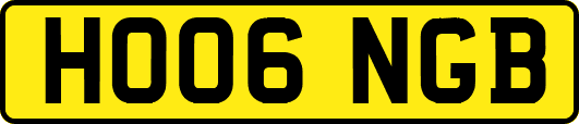 HO06NGB
