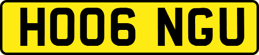 HO06NGU