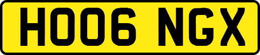 HO06NGX