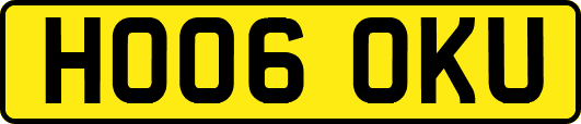 HO06OKU