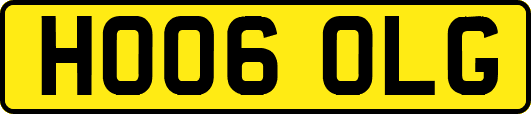 HO06OLG