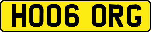HO06ORG