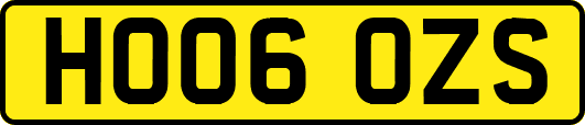 HO06OZS