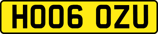 HO06OZU