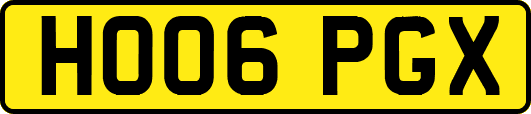 HO06PGX