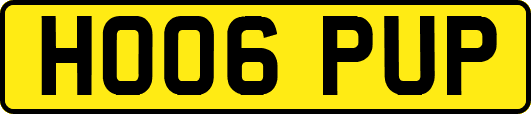 HO06PUP