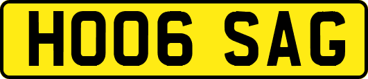 HO06SAG