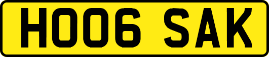 HO06SAK
