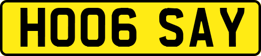 HO06SAY