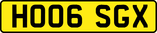 HO06SGX