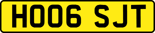 HO06SJT