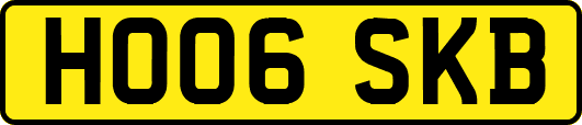 HO06SKB
