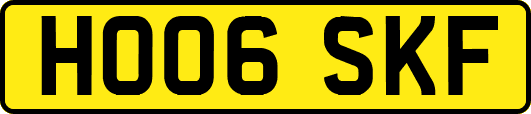 HO06SKF