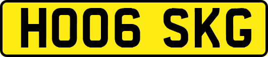HO06SKG