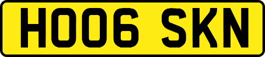 HO06SKN