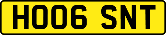 HO06SNT