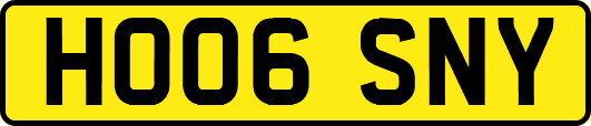 HO06SNY