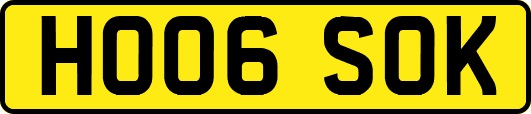 HO06SOK