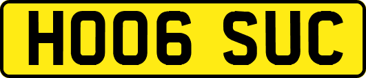 HO06SUC