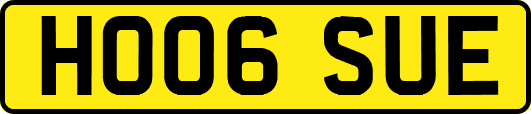 HO06SUE