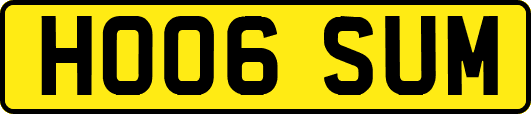 HO06SUM