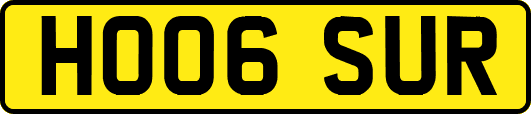 HO06SUR
