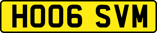 HO06SVM