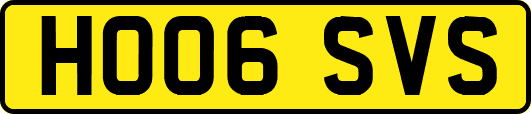 HO06SVS