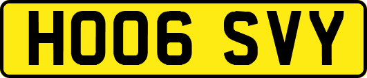 HO06SVY