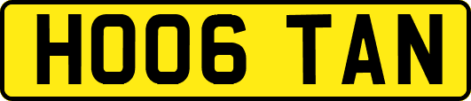 HO06TAN