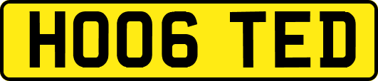 HO06TED