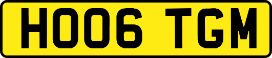 HO06TGM