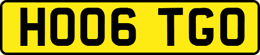 HO06TGO
