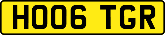 HO06TGR
