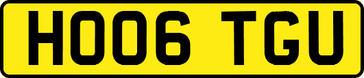 HO06TGU