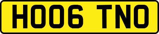 HO06TNO