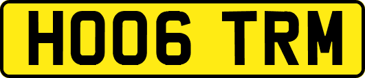 HO06TRM