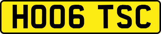 HO06TSC