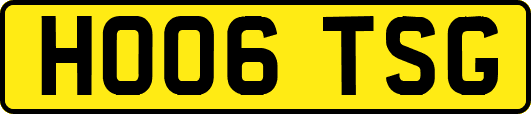 HO06TSG