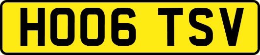 HO06TSV
