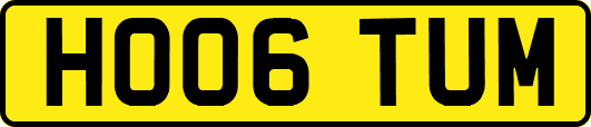 HO06TUM