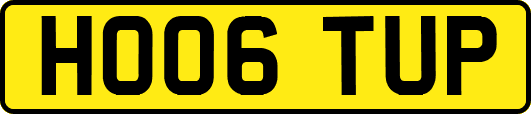 HO06TUP