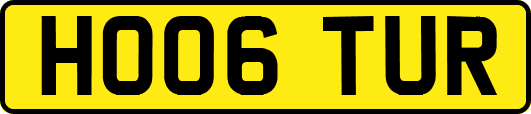 HO06TUR
