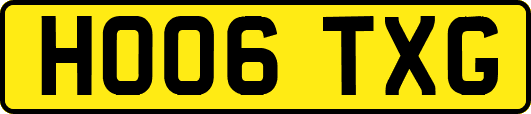 HO06TXG