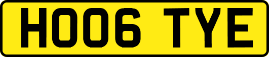 HO06TYE