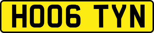 HO06TYN