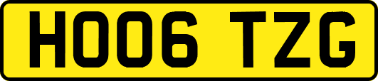 HO06TZG
