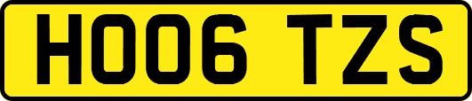 HO06TZS